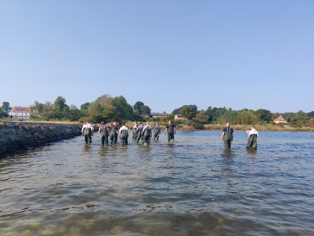 Coastal Outdoor Life for Food&nbsp;Professionals